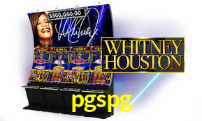 Programa VIP pgspg